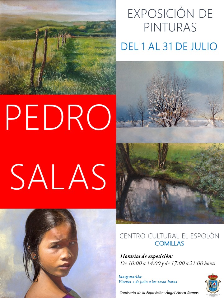 EXPOSICION PEDRO SALAS