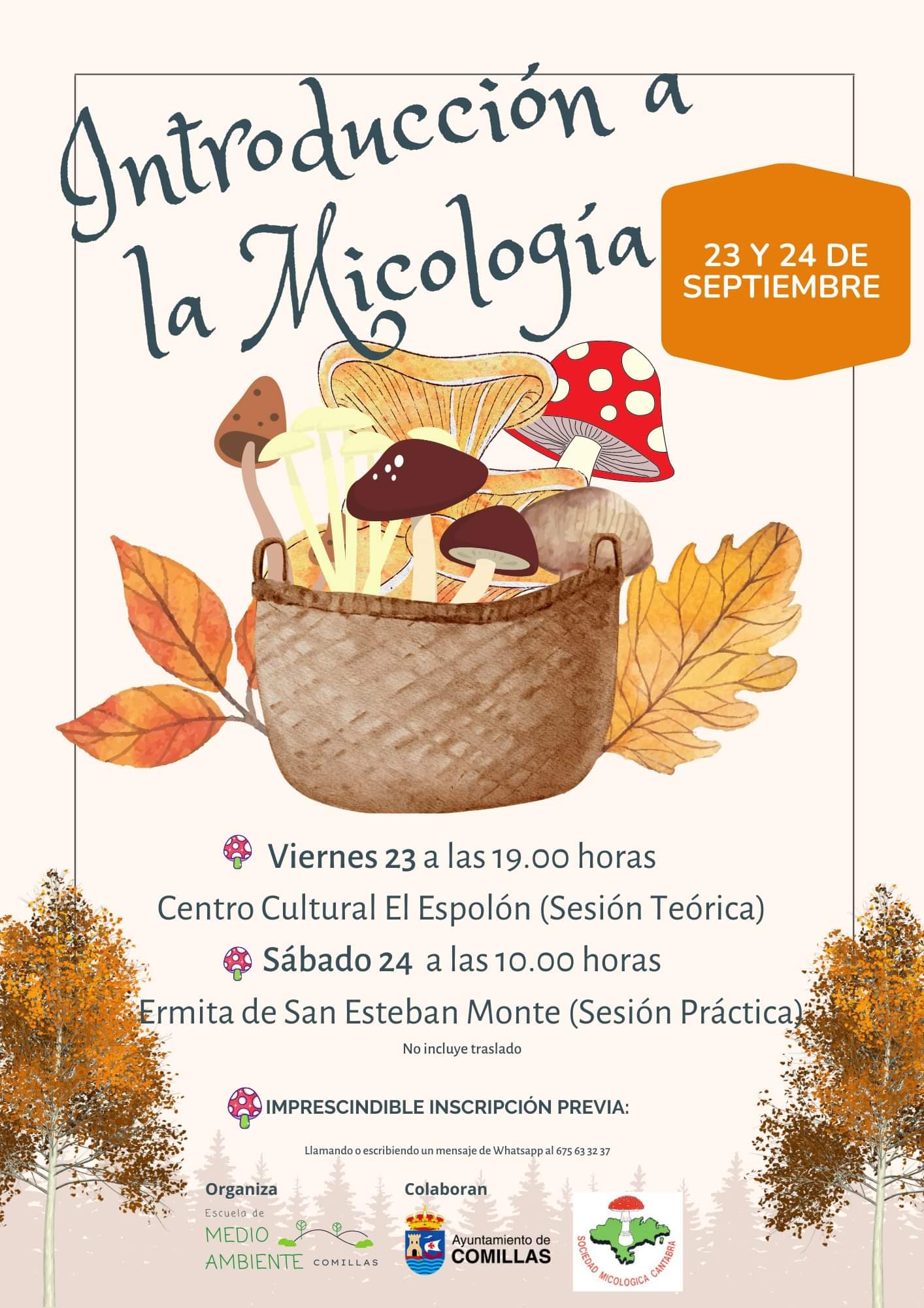 INTRODUCCIÓN A LA MICOLOGÍA